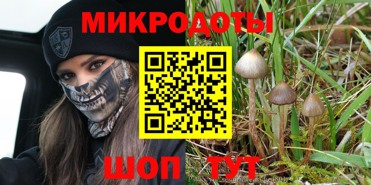 Галлюциногенные грибы Magic Shrooms  Вход с VPN  Мелеуз 