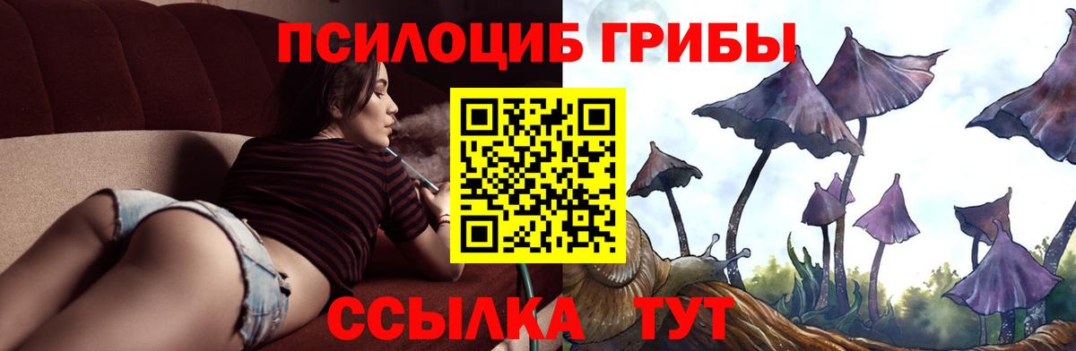Псилоцибиновые грибы GOLDEN TEACHER Мелеуз